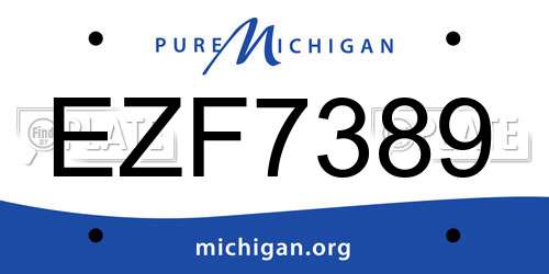 EZF7389 Michigan License Plate