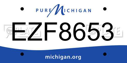 EZF8653 Michigan License Plate