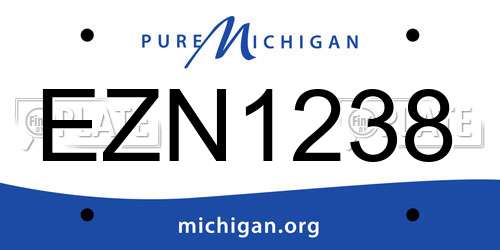 EZN1238 Michigan License Plate