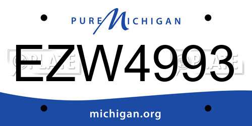 EZW4993 Michigan License Plate