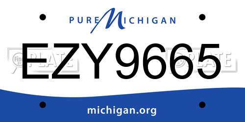 EZY9665 Michigan License Plate