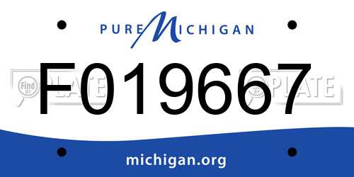 F019667 Michigan License Plate