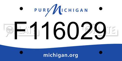 F116029 Michigan License Plate