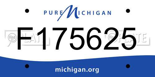 F175625 Michigan License Plate