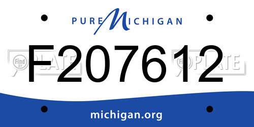 F207612 Michigan License Plate
