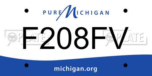 F208FV Michigan License Plate