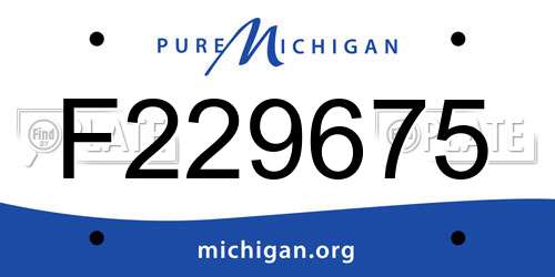 F229675 Michigan License Plate