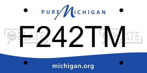 F242TM Michigan License Plate