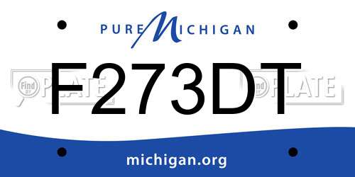 F273DT Michigan License Plate