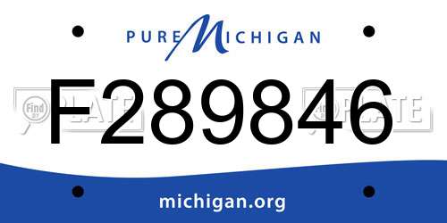 F289846 Michigan License Plate