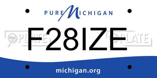 F28IZE Michigan License Plate