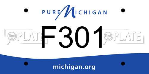 F301 Michigan License Plate
