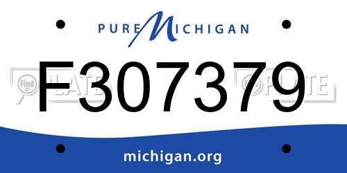 F307379 Michigan License Plate
