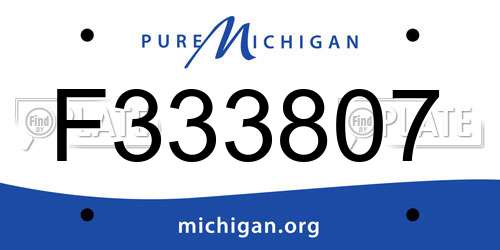 F333807 Michigan License Plate