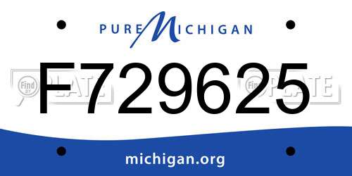 F729625 Michigan License Plate