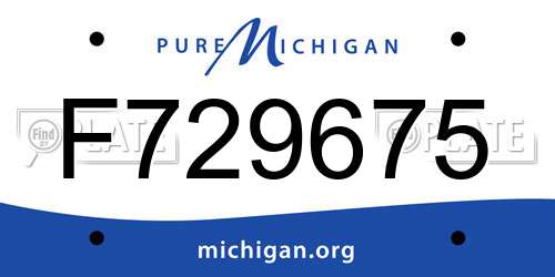 F729675 Michigan License Plate