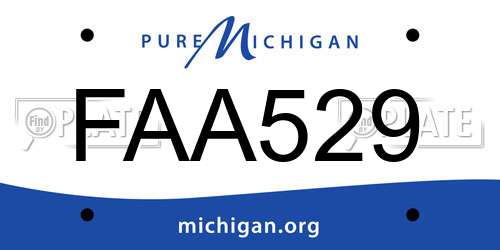 FAA529 Michigan License Plate