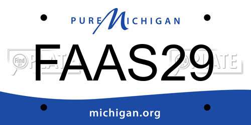 FAAS29 Michigan License Plate