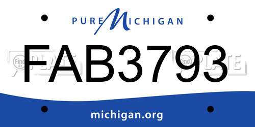 FAB3793 Michigan License Plate