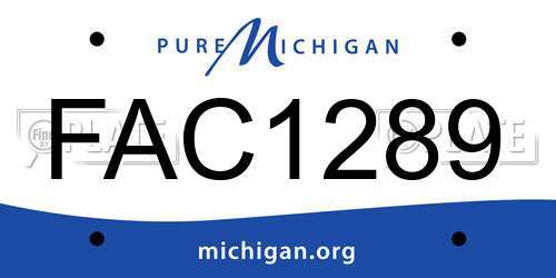 FAC1289 Michigan License Plate