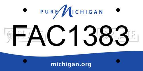 FAC1383 Michigan License Plate