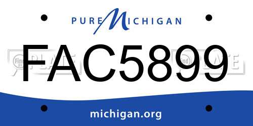 FAC5899 Michigan License Plate