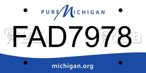 FAD7978 Michigan License Plate