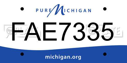 FAE7335 Michigan License Plate