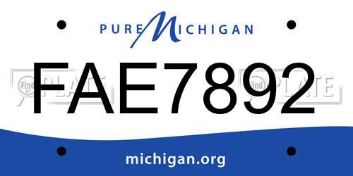 FAE7892 Michigan License Plate