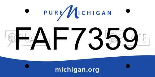 FAF7359 Michigan License Plate