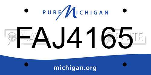 FAJ4165 Michigan License Plate