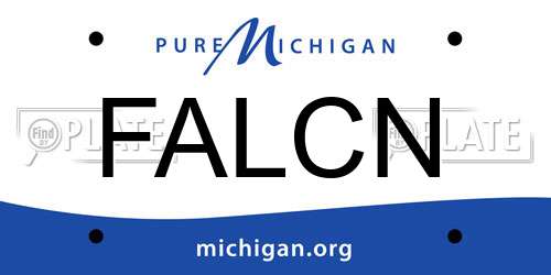FALCN Michigan License Plate