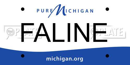 FALINE Michigan License Plate