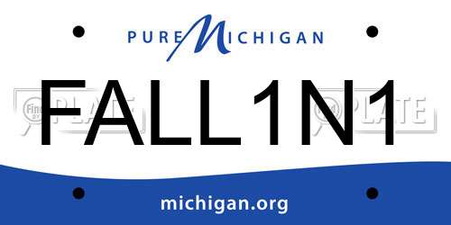FALL1N1 Michigan License Plate