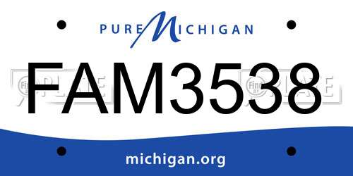FAM3538 Michigan License Plate