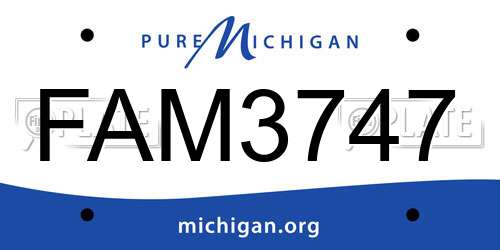 FAM3747 Michigan License Plate