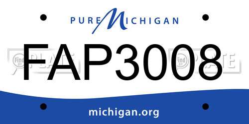 FAP3008 Michigan License Plate