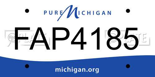 FAP4185 Michigan License Plate