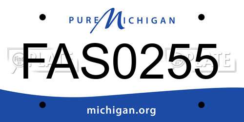 FAS0255 Michigan License Plate