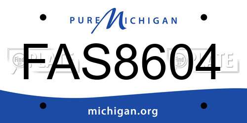 FAS8604 Michigan License Plate