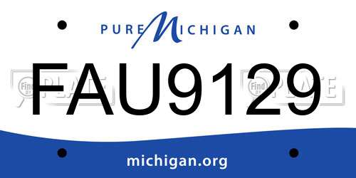 FAU9129 Michigan License Plate