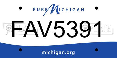 FAV5391 Michigan License Plate