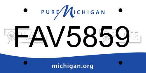 FAV5859 Michigan License Plate