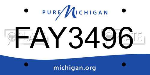 FAY3496 Michigan License Plate