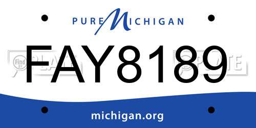 FAY8189 Michigan License Plate