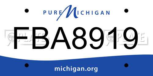 FBA8919 Michigan License Plate