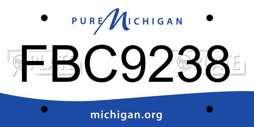 FBC9238 Michigan License Plate