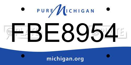 FBE8954 Michigan License Plate