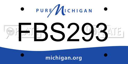 FBS293 Michigan License Plate