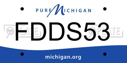 FDDS53 Michigan License Plate